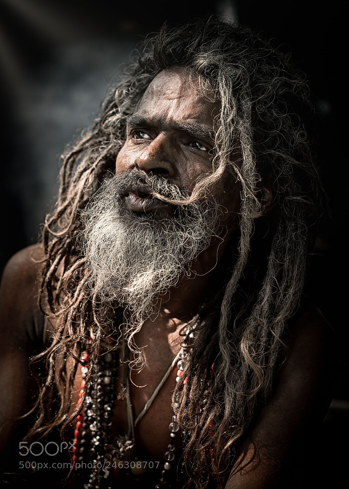 Sony a7S II sample photo. Babaji photography