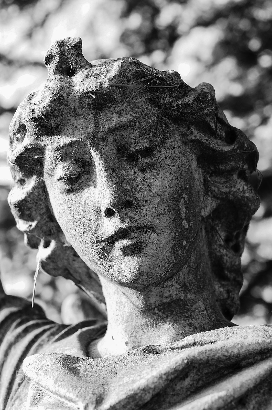 Olympus OM-D E-M5 II sample photo. Grave photography