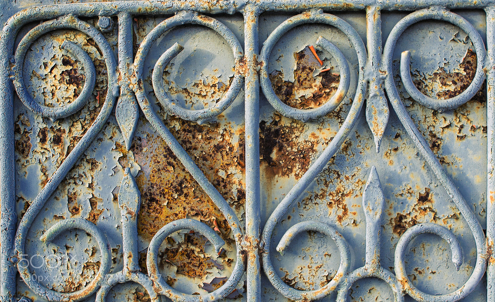 Nikon D3100 sample photo. Rust photography
