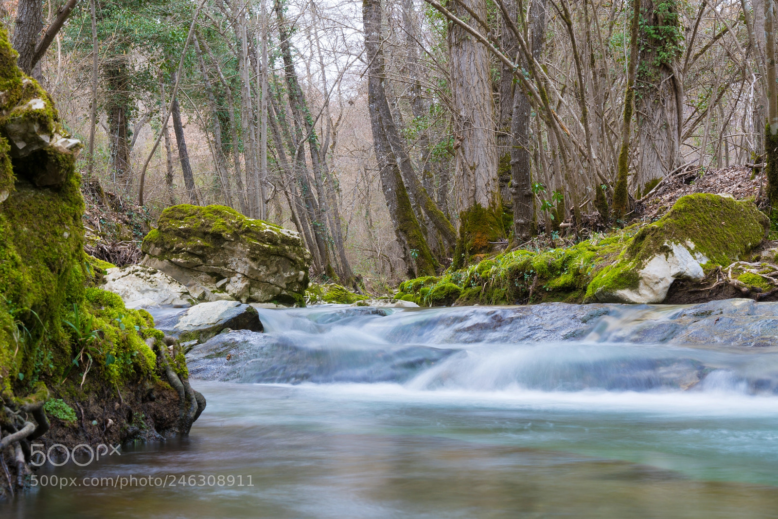 Sony a7R II sample photo. Torrente photography