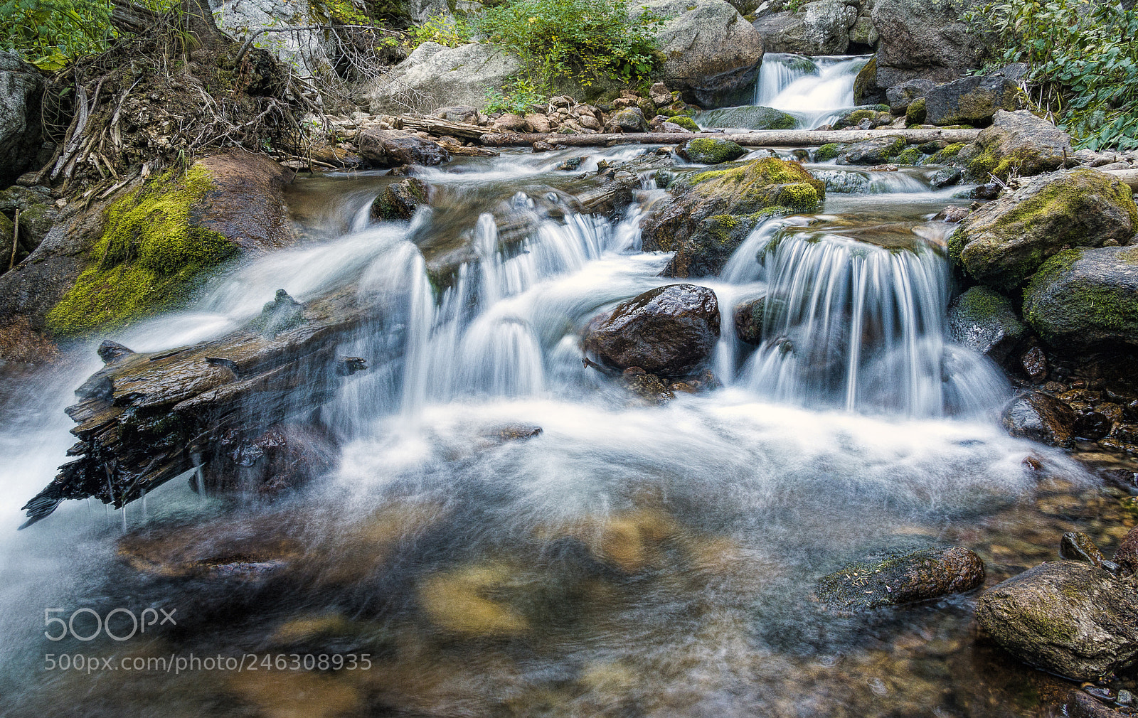 Nikon D800E sample photo. Icy brook cascade dsc photography