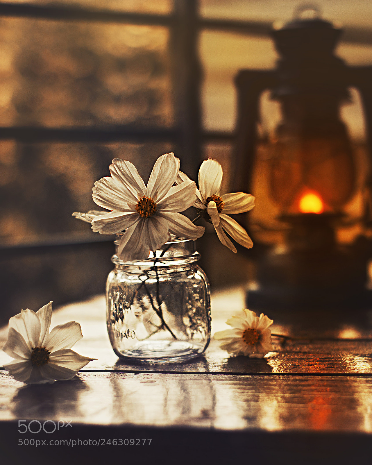 Canon EOS 700D (EOS Rebel T5i / EOS Kiss X7i) sample photo. Lantern light photography