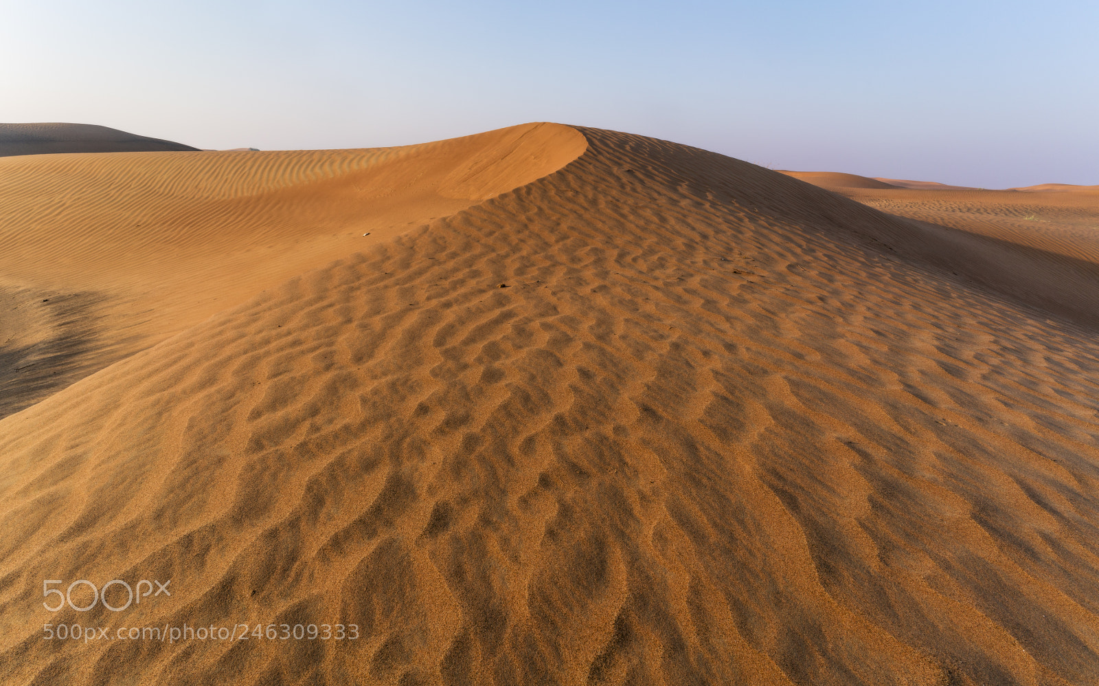 Sony a7R II sample photo. Sharjah 3 photography