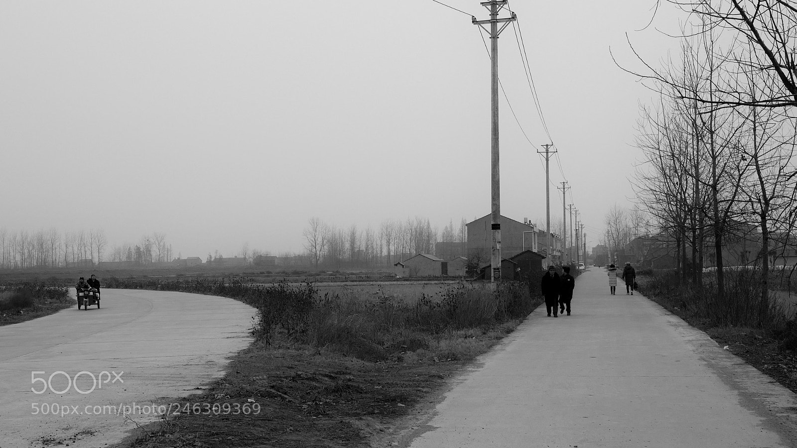 Leica Q (Typ 116) sample photo. Untitled photography