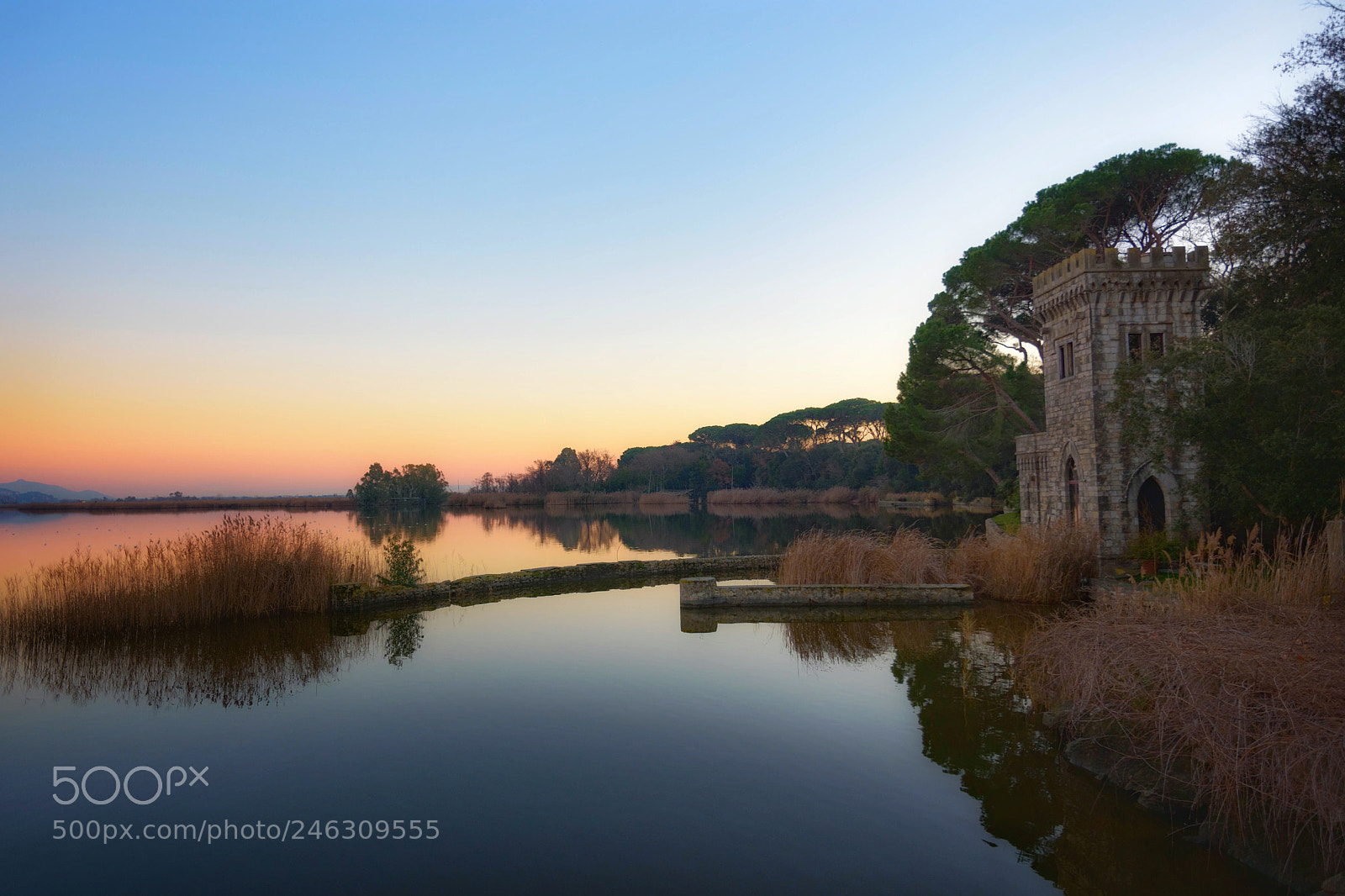 Nikon D7200 sample photo. Torre del lago puccini photography