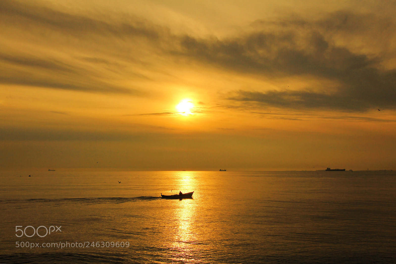 Canon EOS 60D sample photo. Untitled photography