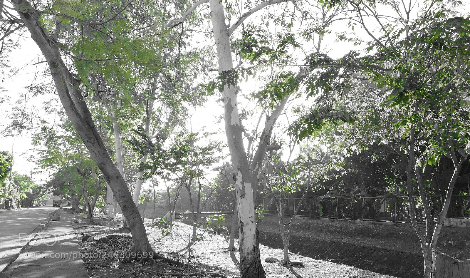 HUAWEI nova 2i sample photo. Paint it green photography