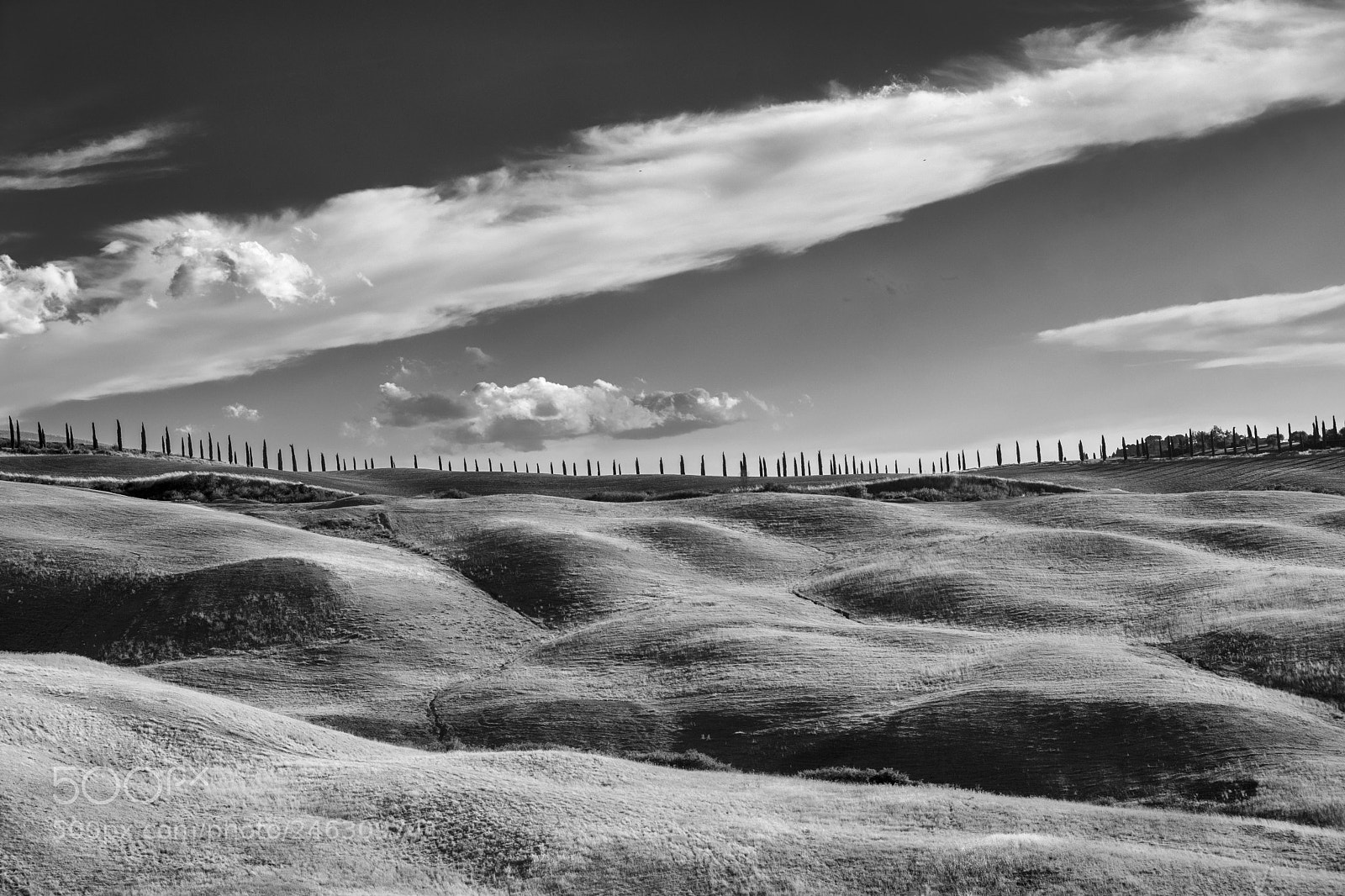 Fujifilm X-T2 sample photo. Summer landscape near asciano photography