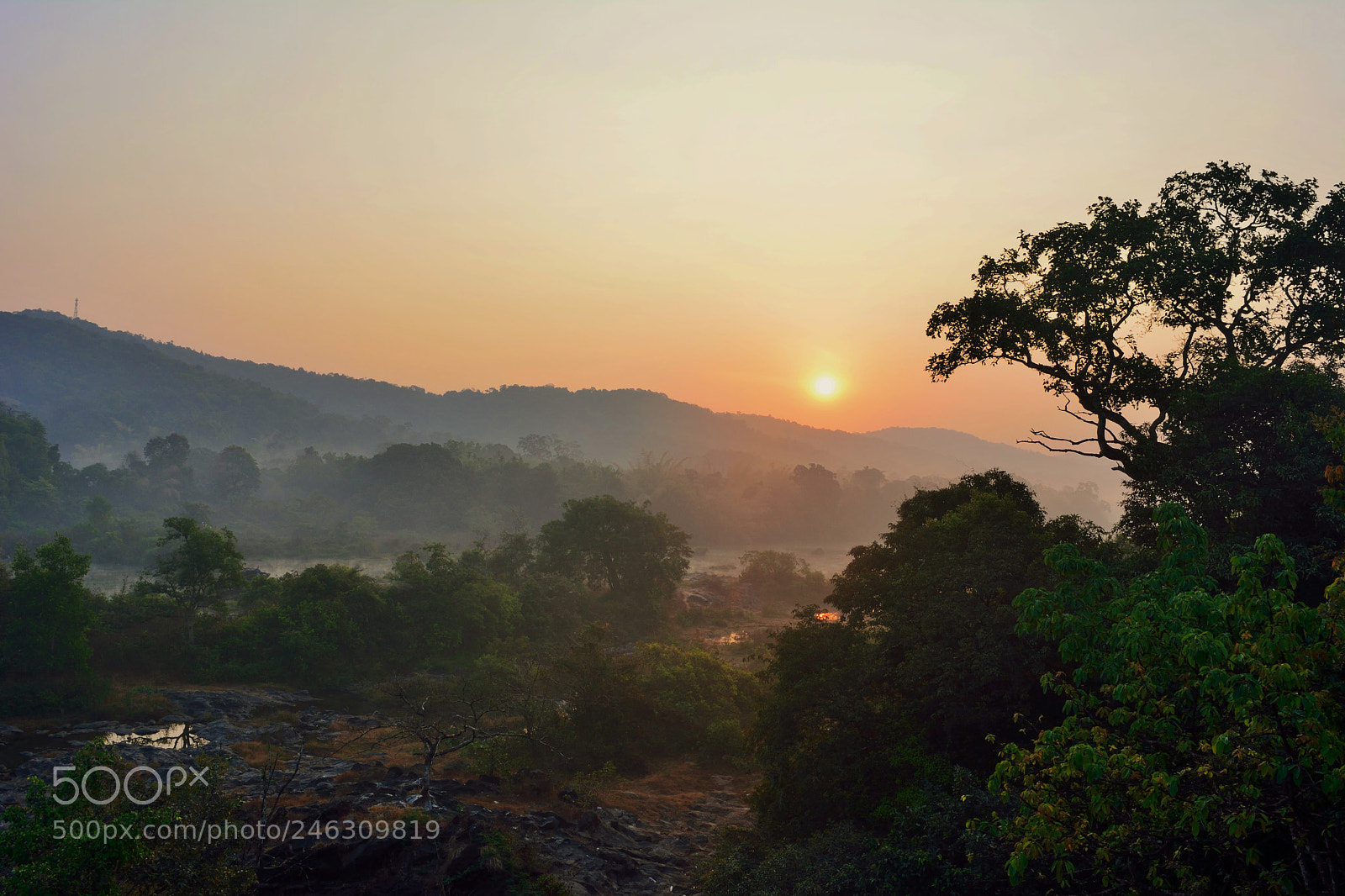 Nikon D5200 sample photo. () photography