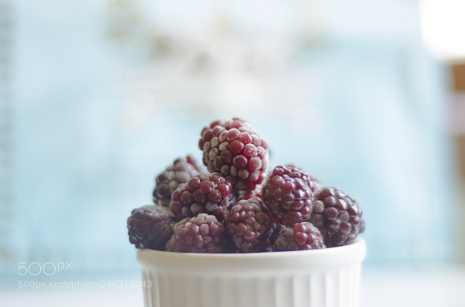 Nikon D5100 sample photo. Berries photography