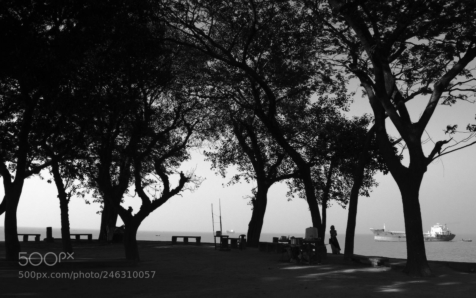Nikon D7100 sample photo. Solitude photography