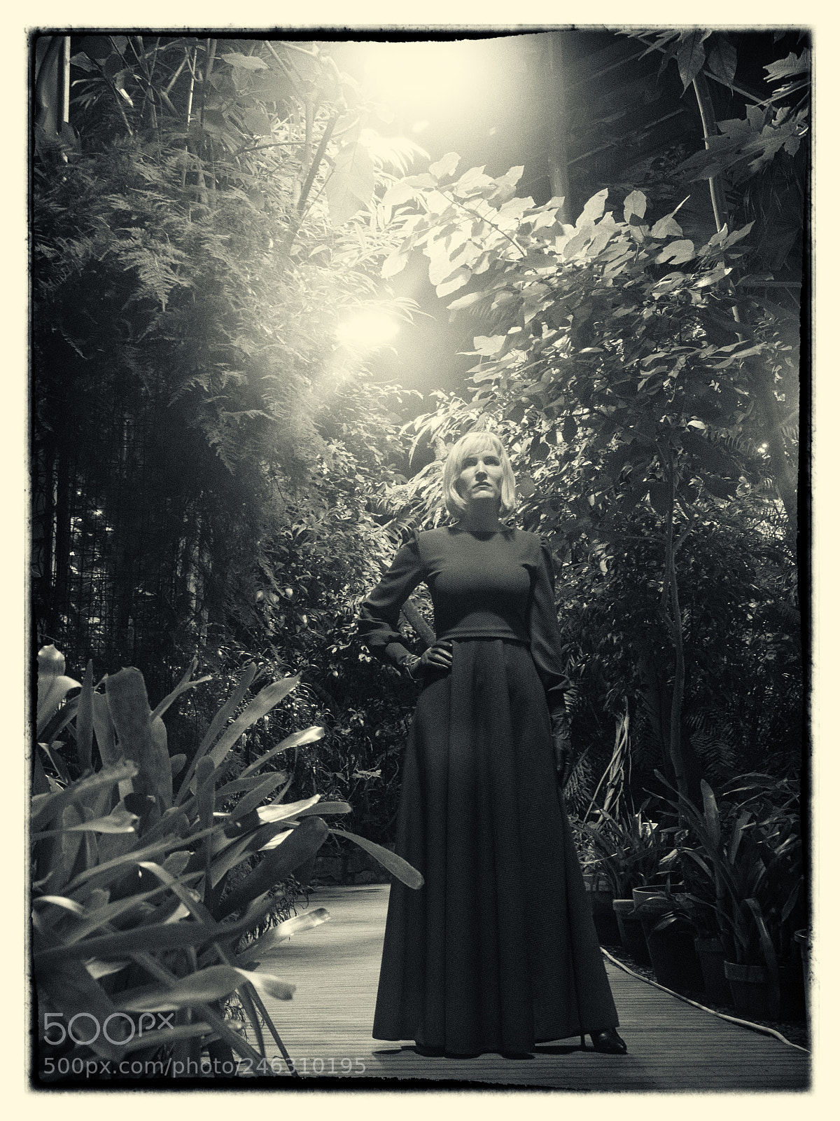 Olympus OM-D E-M1 sample photo. A film noir photography
