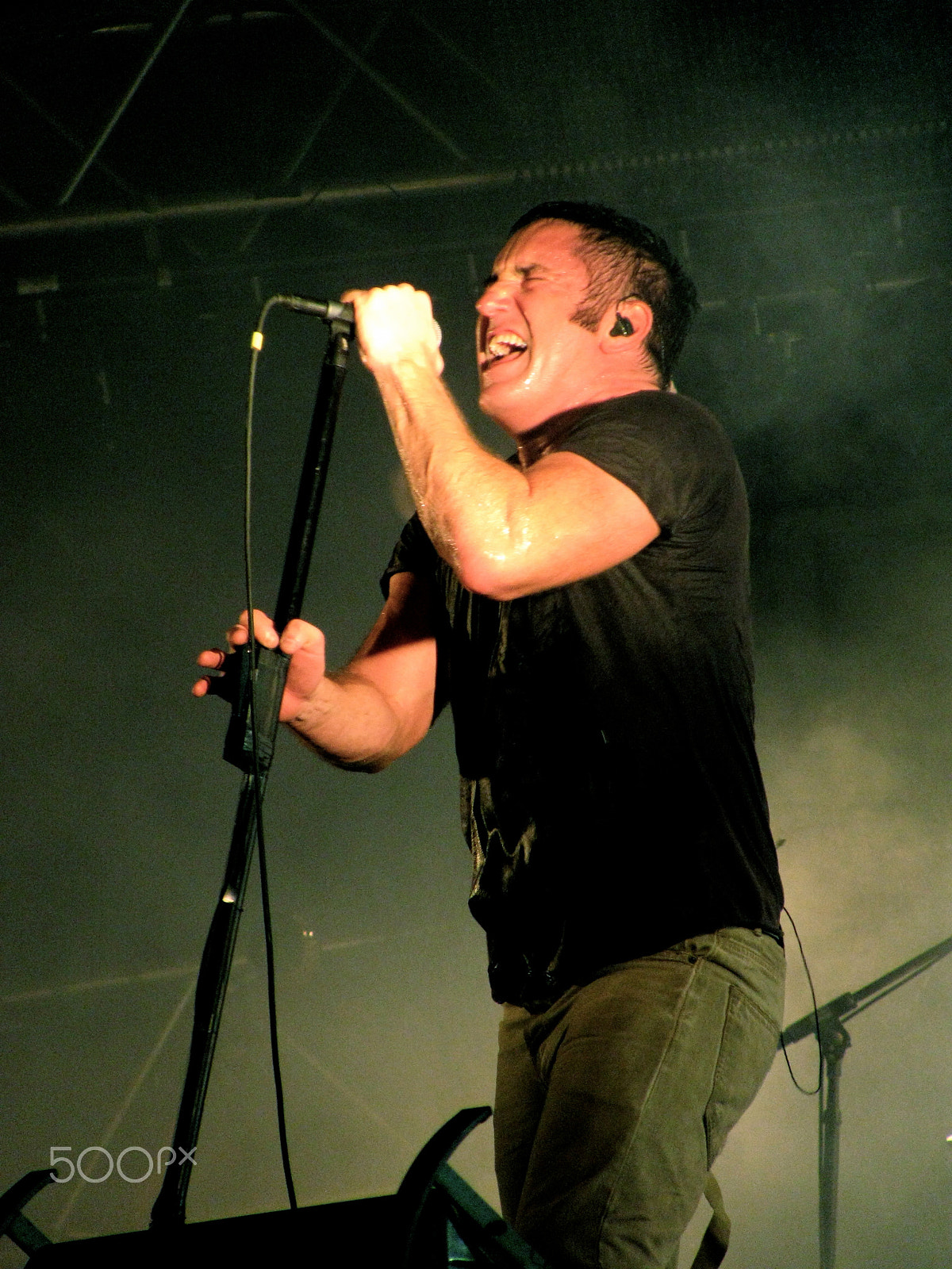 Canon PowerShot SX110 IS sample photo. Nine inch nails photography