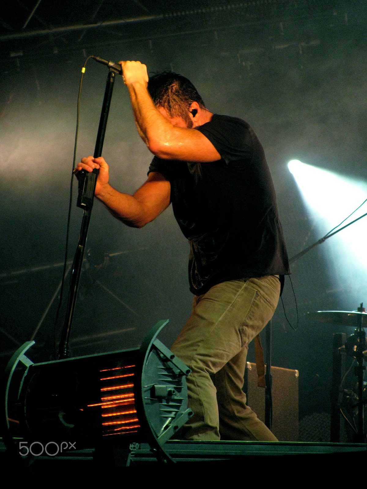 Canon PowerShot SX110 IS sample photo. Nine inch nails photography