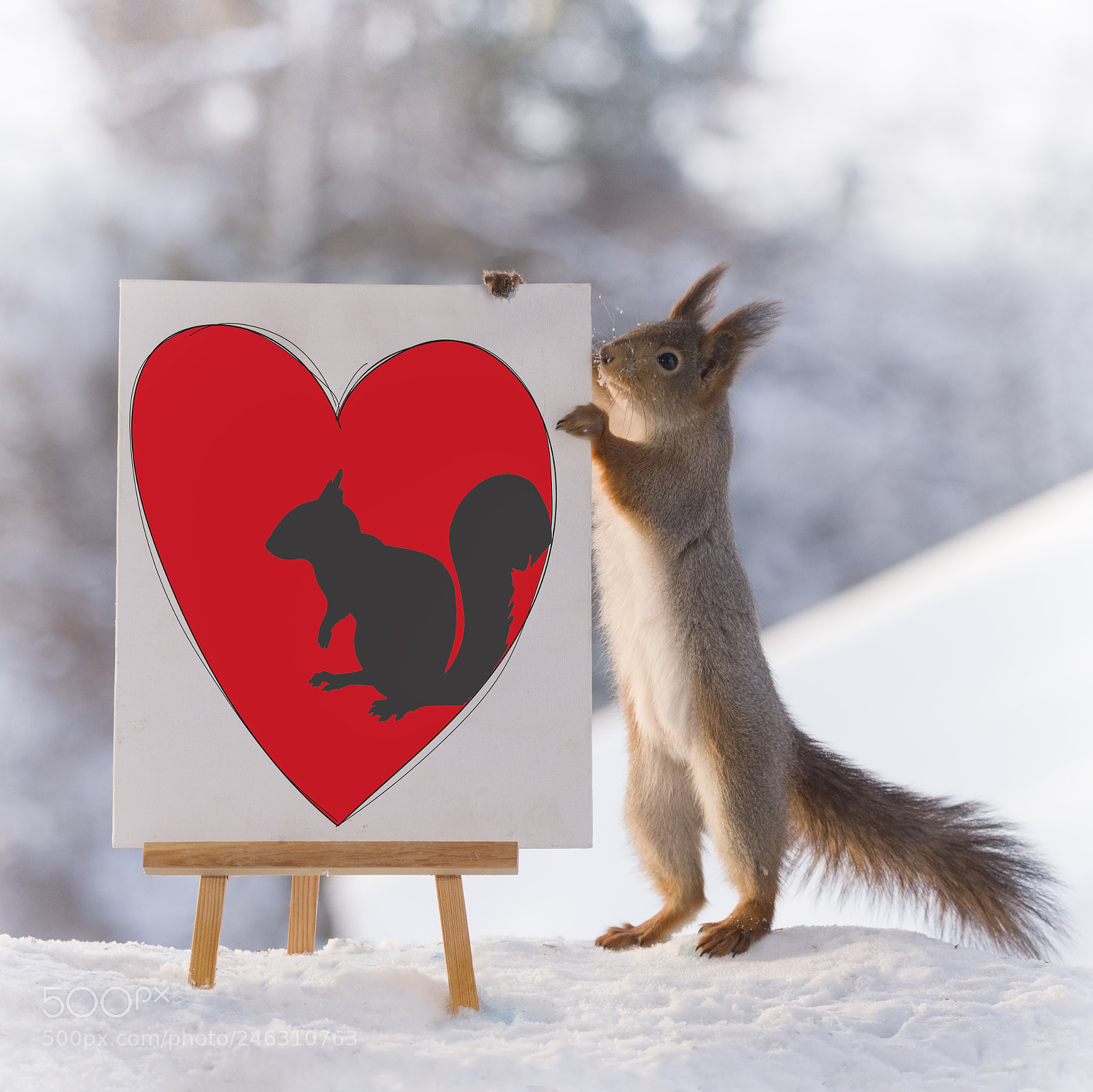 Nikon D810 sample photo. Red squirrel with painting photography