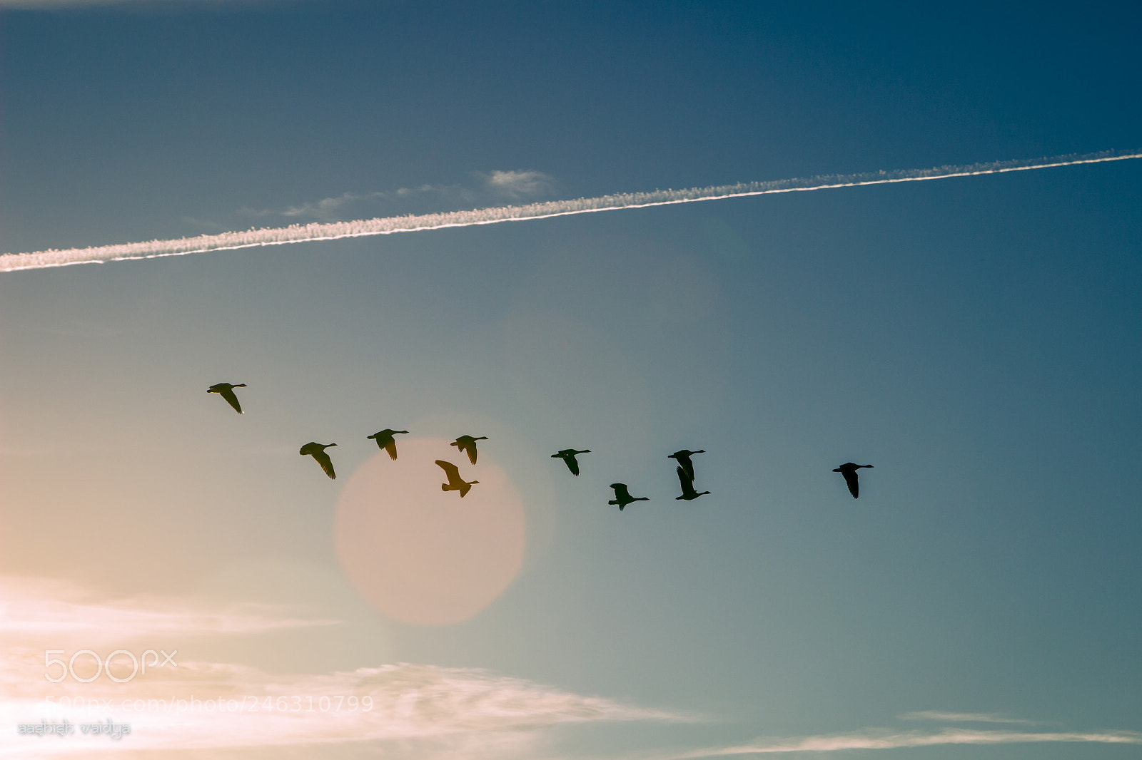 Canon EOS 600D (Rebel EOS T3i / EOS Kiss X5) sample photo. Under the contrails photography