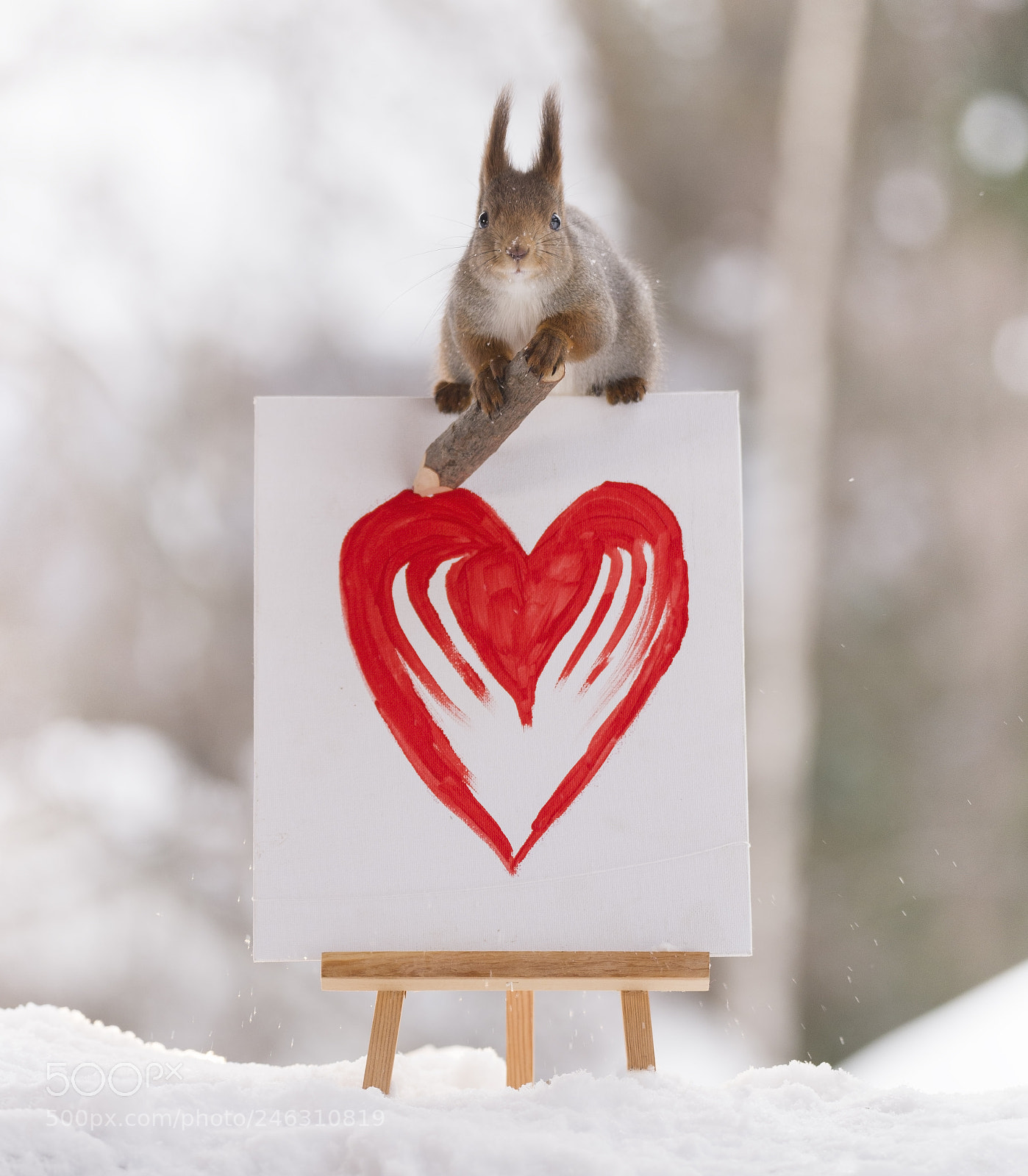Nikon D810 sample photo. Red squirrel on painting photography