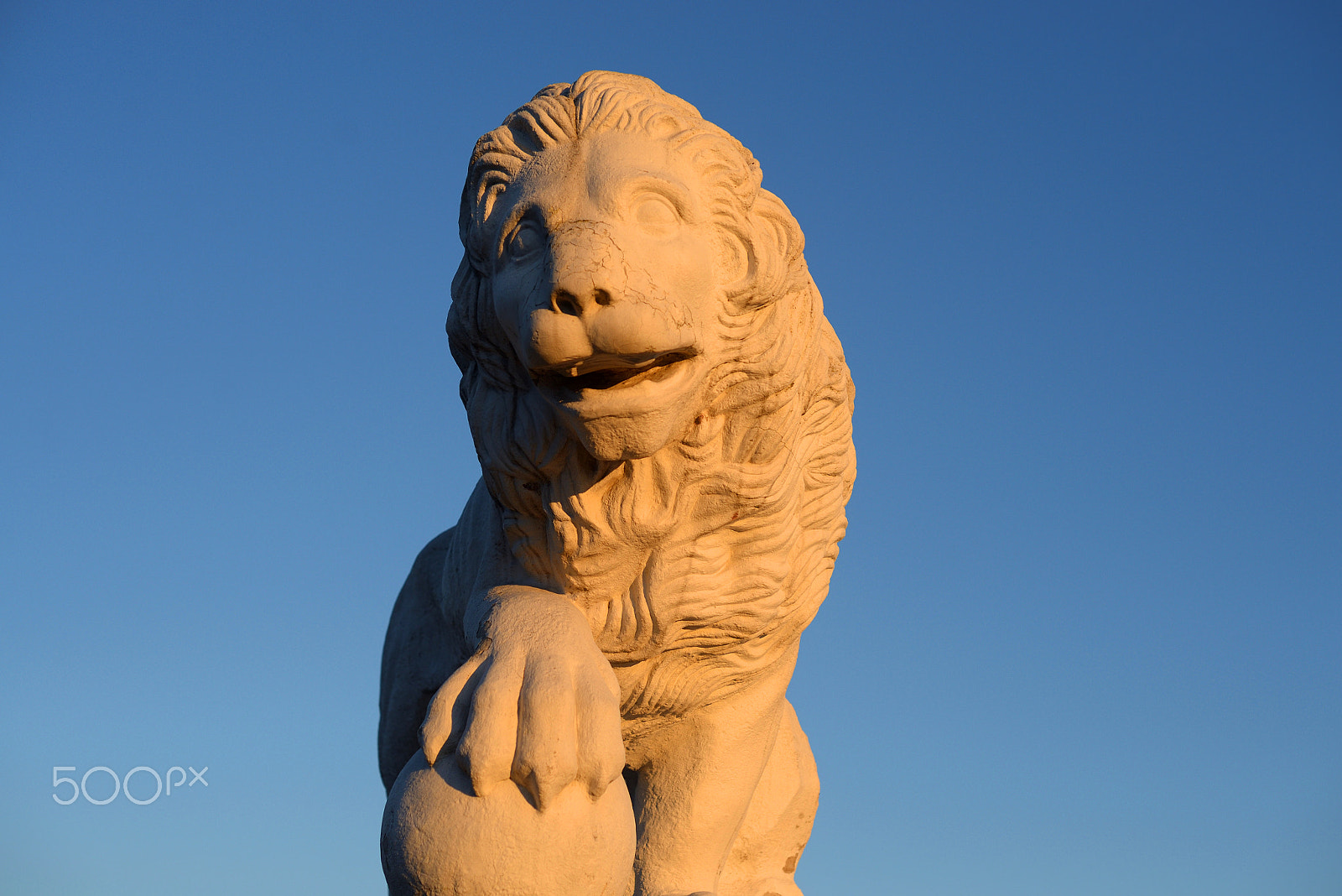 Nikon D610 + Nikon AF Nikkor 50mm F1.8D sample photo. Statue of lion. photography