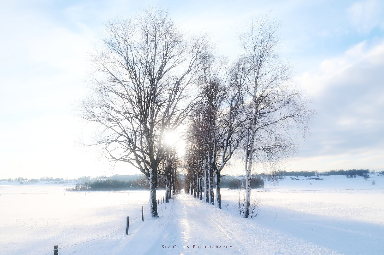 Canon PowerShot G7 X Mark II sample photo. ~ vintervær ~ photography