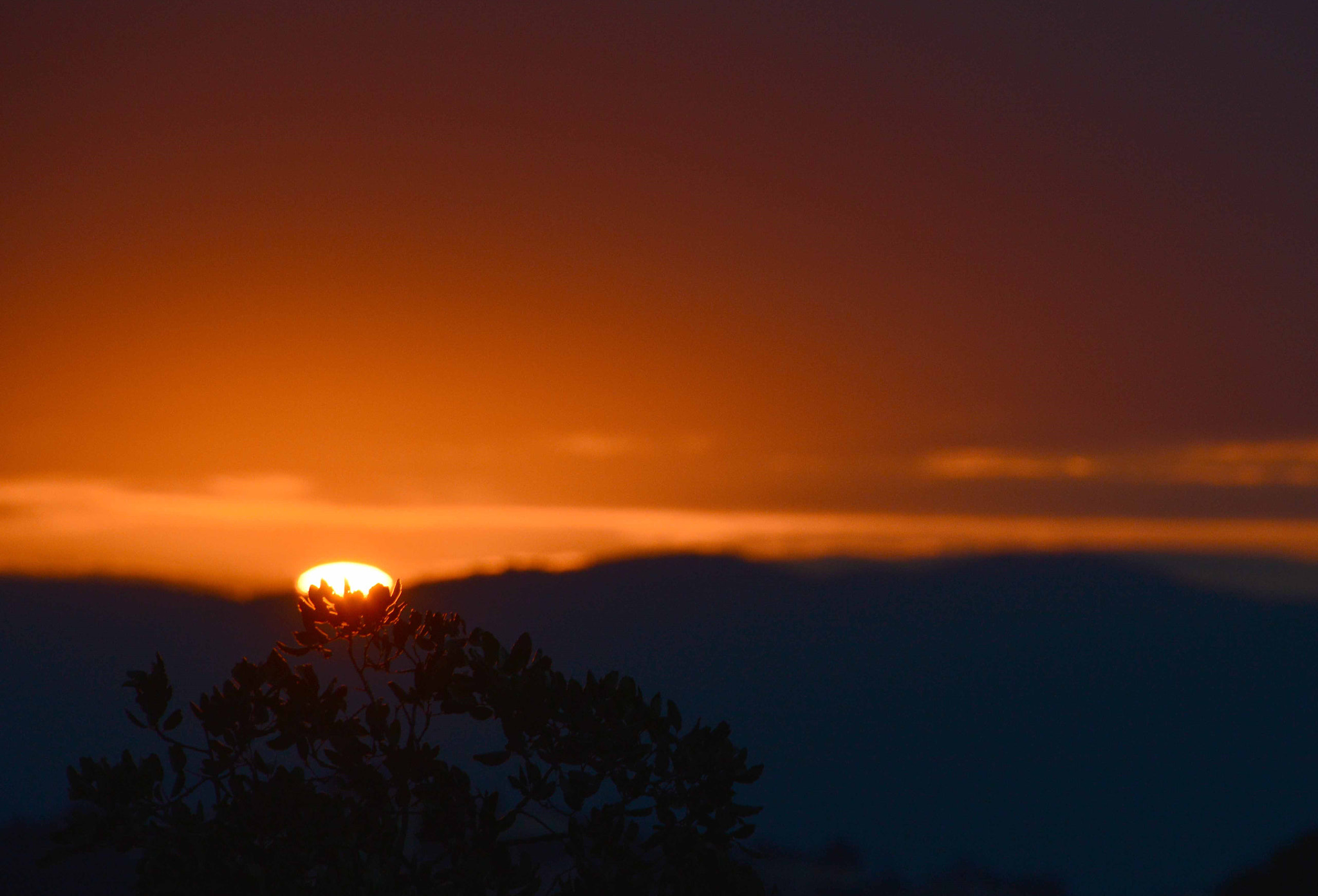 Nikon D3200 sample photo. A photography