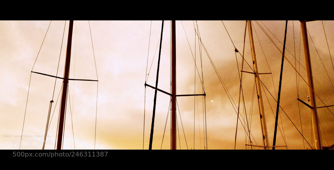 HUAWEI Honor 8 sample photo. Set sail photography