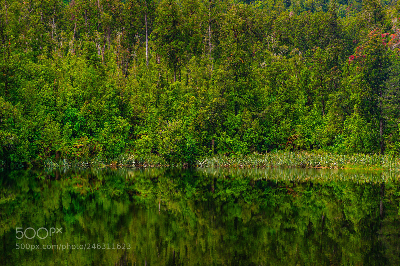 Nikon Df sample photo. Reflection photography