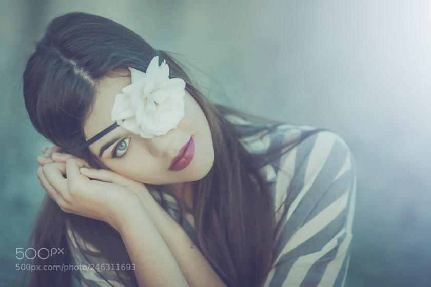 Nikon D7100 sample photo. Rose photography