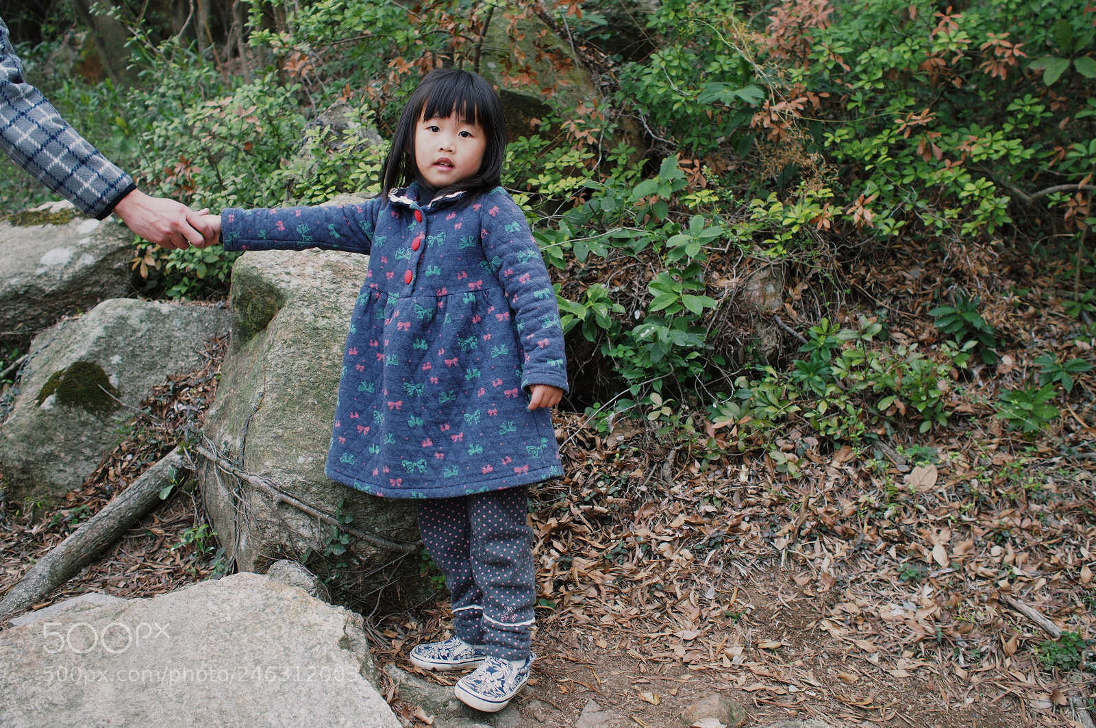 Olympus PEN E-P5 sample photo. Untitled photography