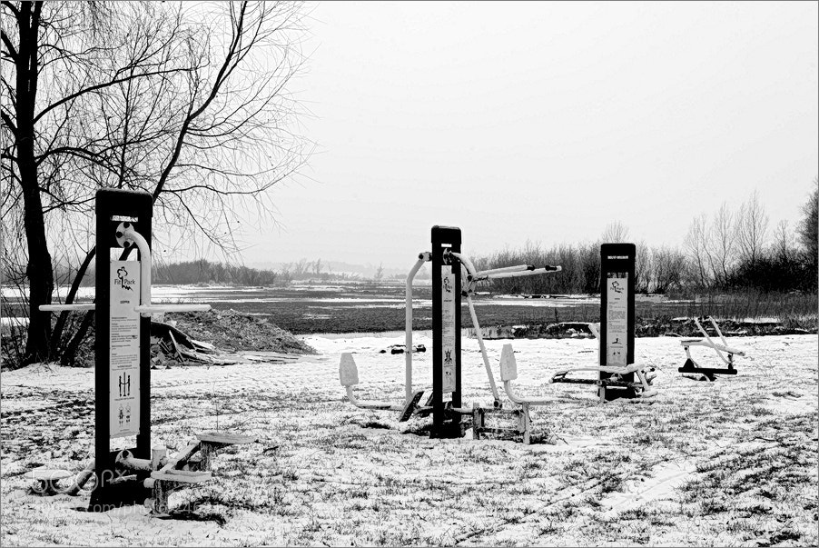 Nikon D610 sample photo. Winter in the fit-park photography