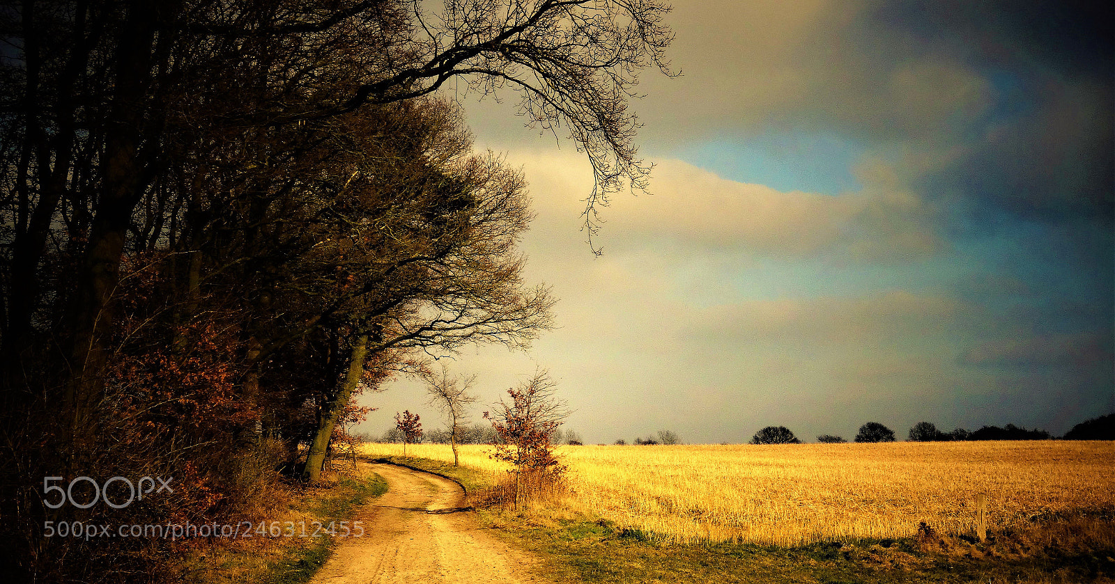 Sony DSC-HX50 sample photo. Narrow road photography