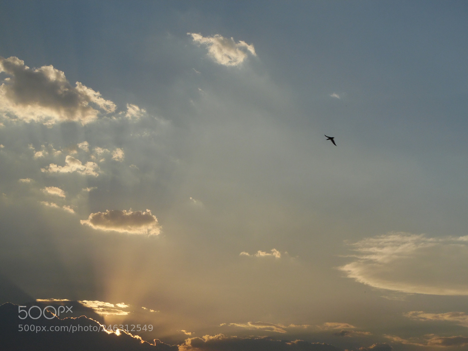 Samsung WB1100F/WB1101F/WB1102F sample photo. "ultimo vuelo" photography