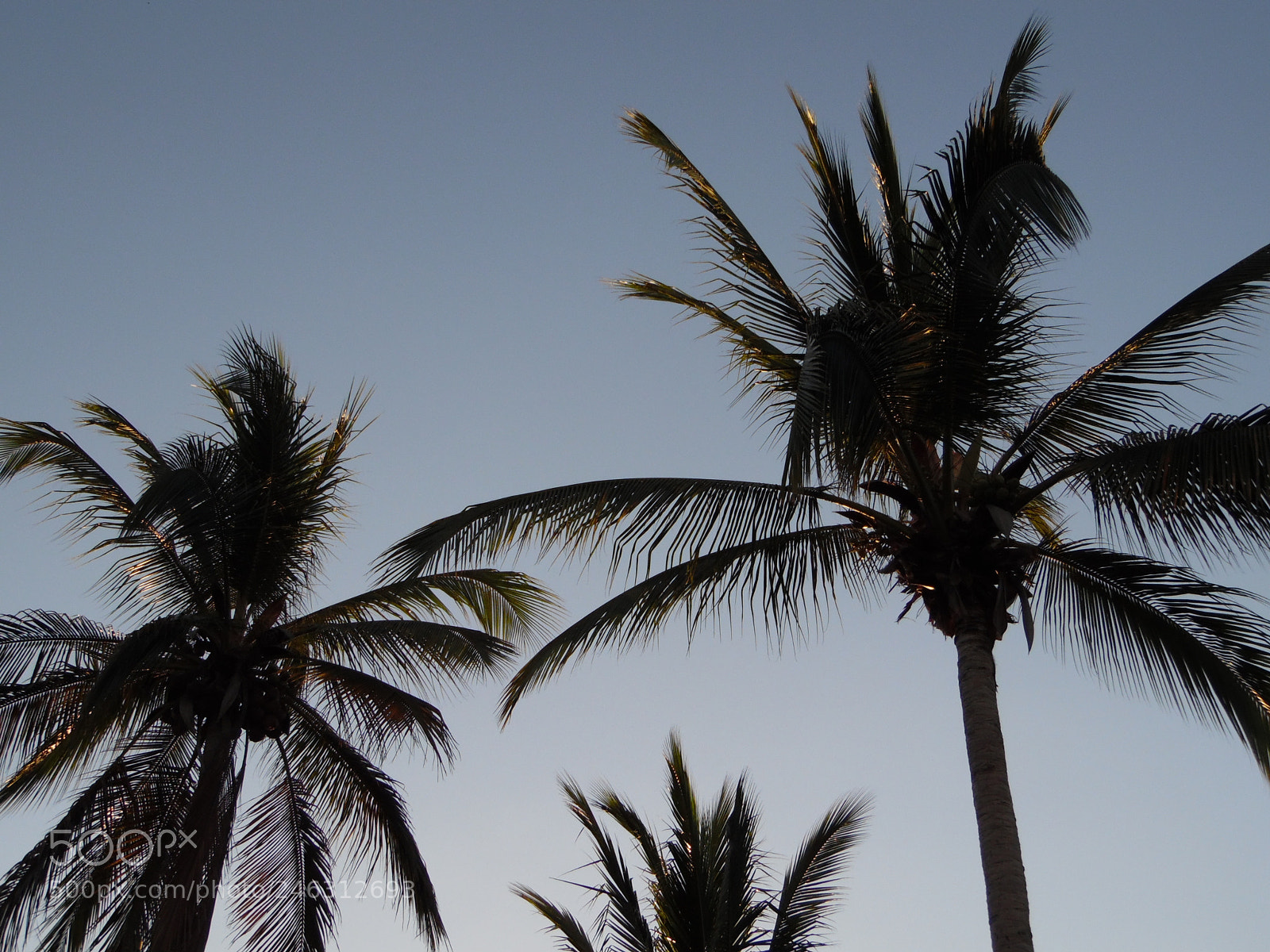 Samsung WB1100F/WB1101F/WB1102F sample photo. Acompa antes de la photography