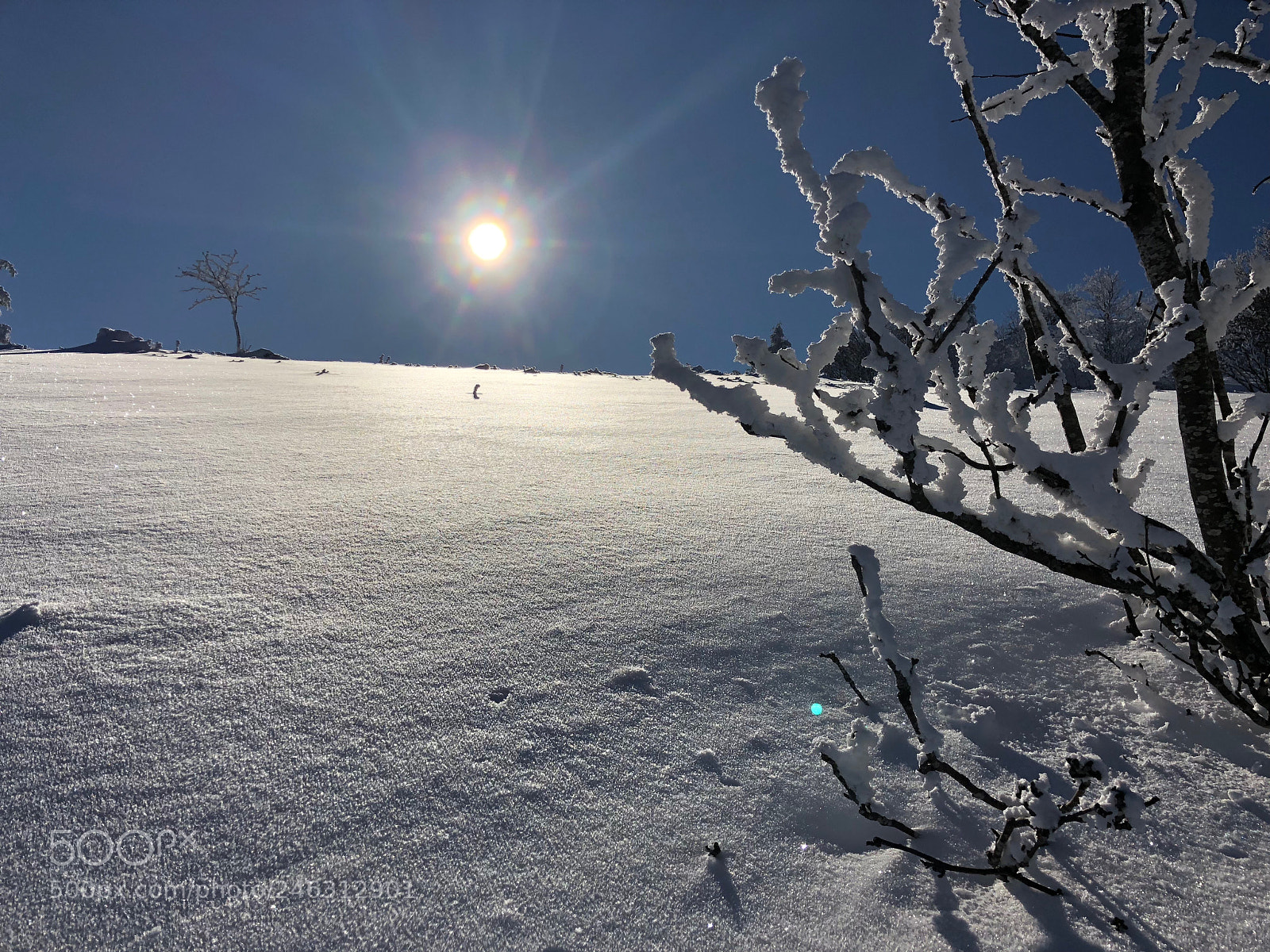 Apple iPhone X sample photo. Le markstein - iphonex photography