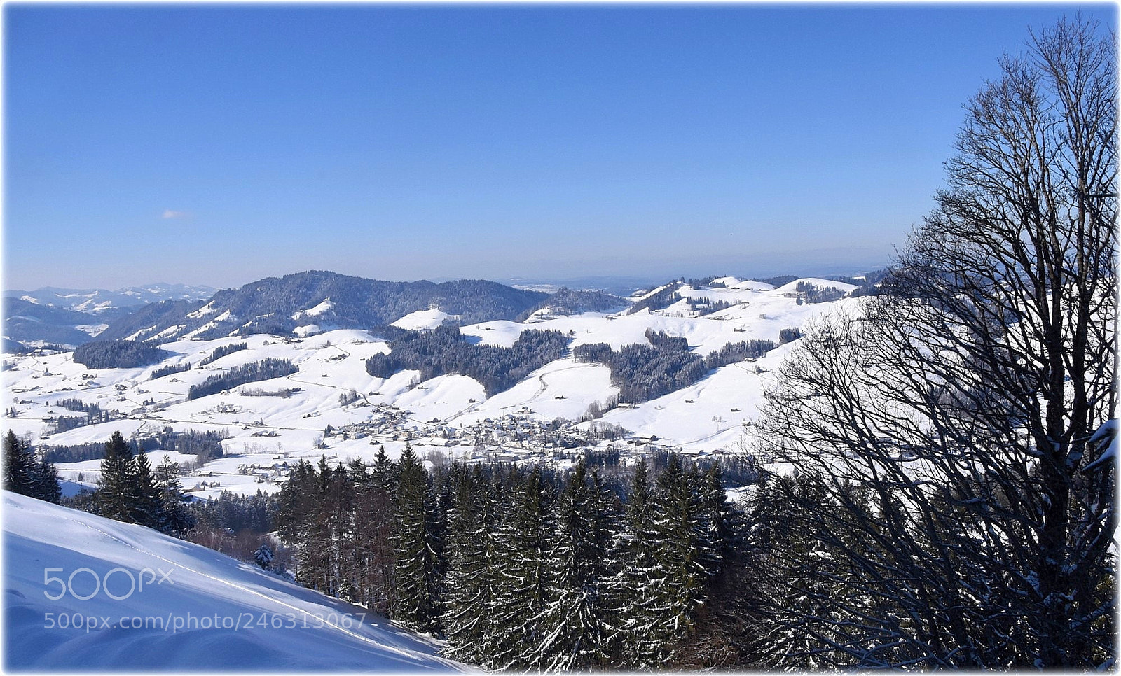 Nikon D810 sample photo. "hochhamm-schönengrund" photography