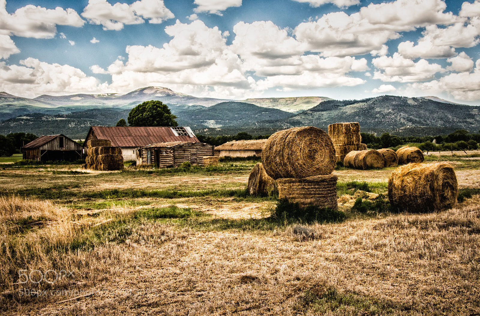 Nikon D800 sample photo. Colorado ranch photography