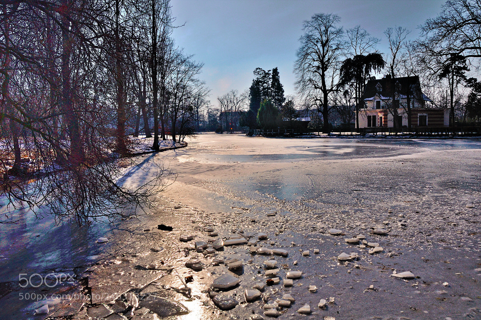 Nikon D90 sample photo. Winter light on a photography