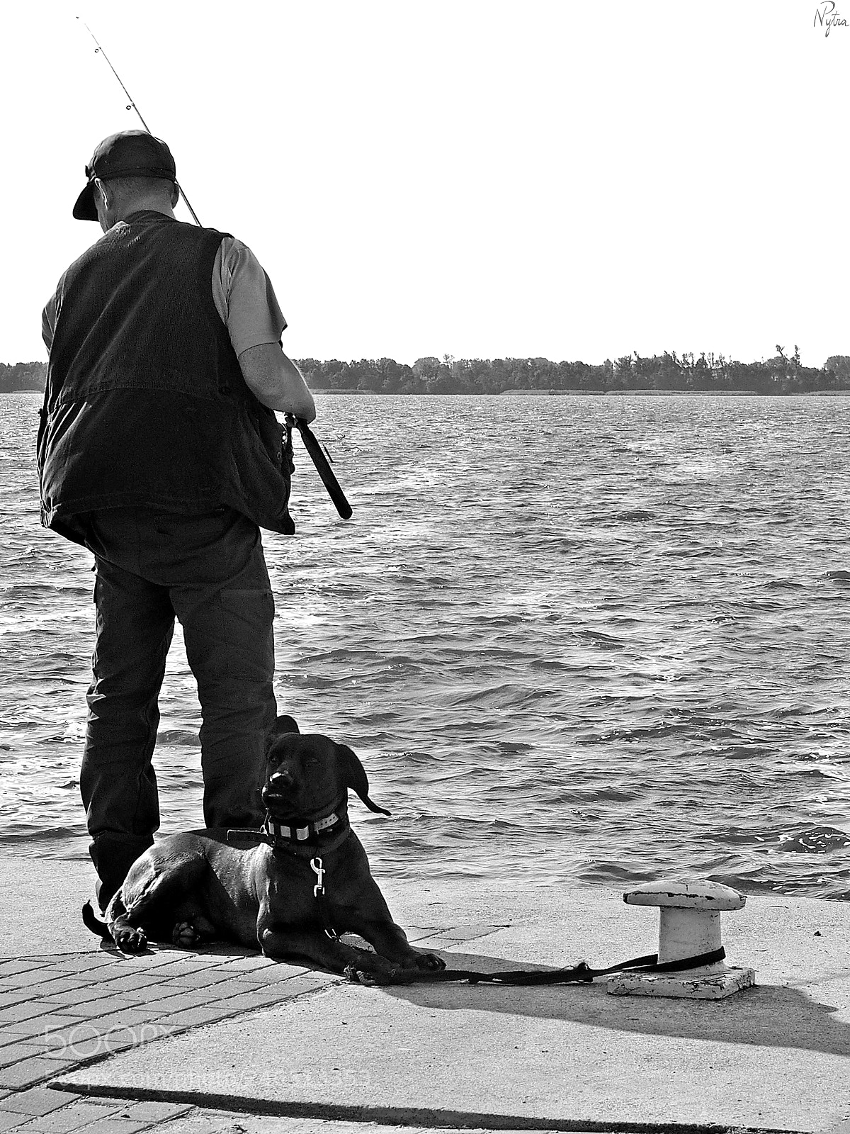 Olympus PEN E-PL5 sample photo. Fisherman's best friend. photography