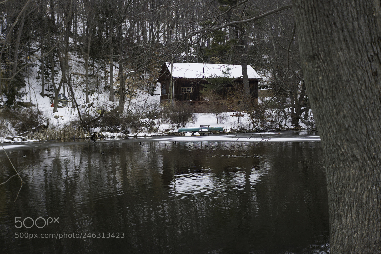 Canon EOS 1200D (EOS Rebel T5 / EOS Kiss X70 / EOS Hi) sample photo. Csh cabin on the photography