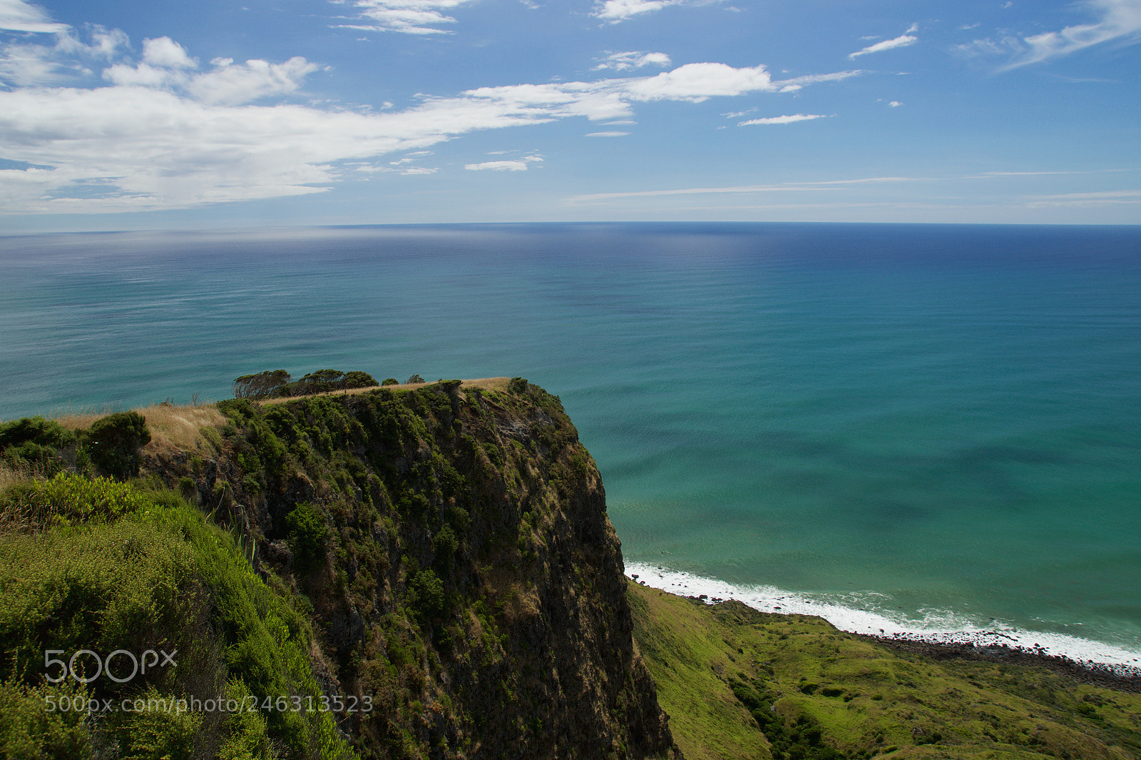 Sony SLT-A58 sample photo. Raglan photography