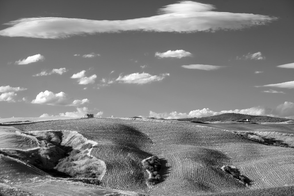 Summer landscape near Asciano by Claudio G. Colombo on 500px.com