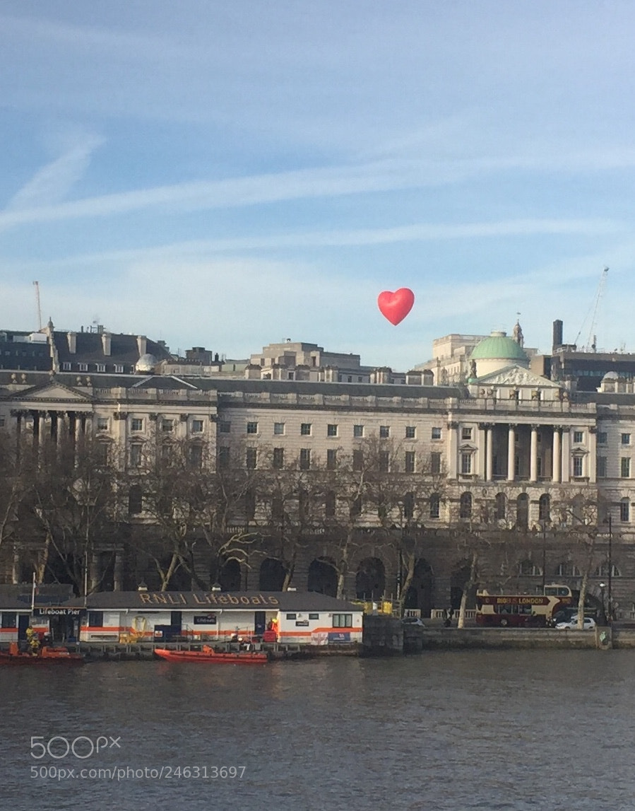 Apple iPhone 6 sample photo. Love is in the photography
