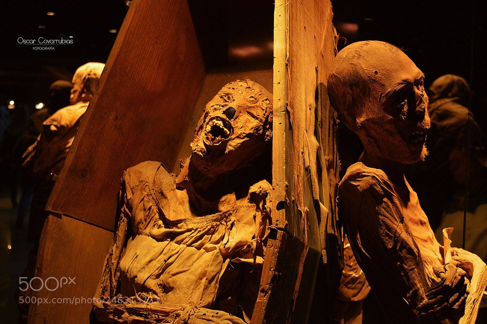 Nikon D3200 sample photo. Mummy photography