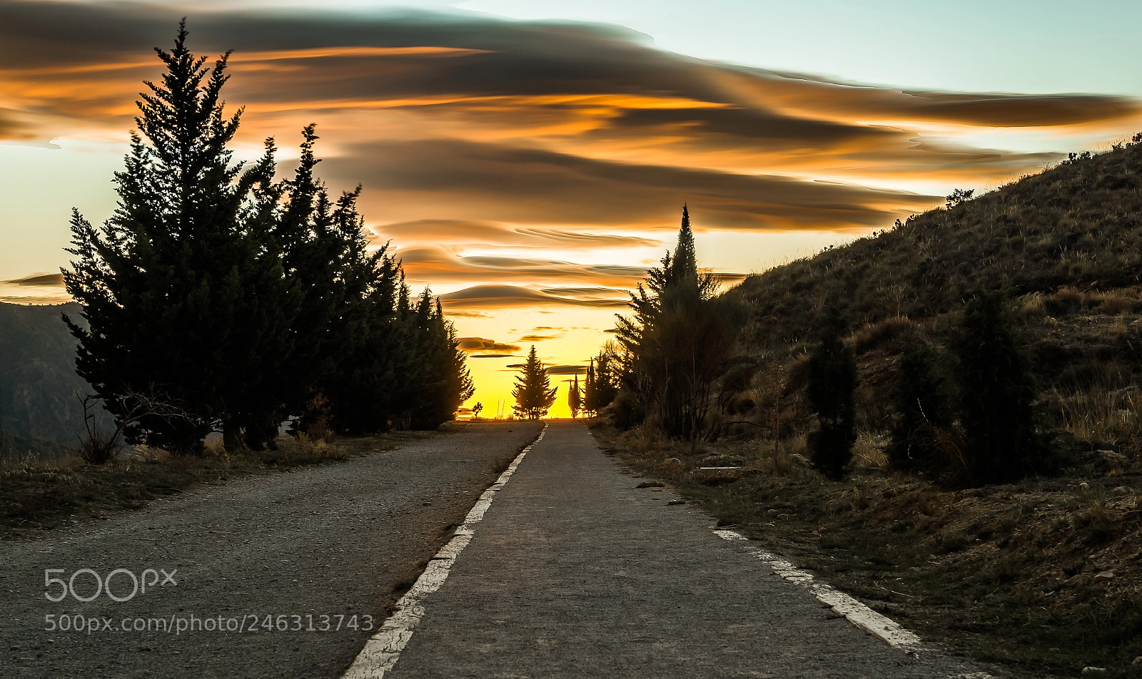 Nikon D810 sample photo. Camino del canal de photography