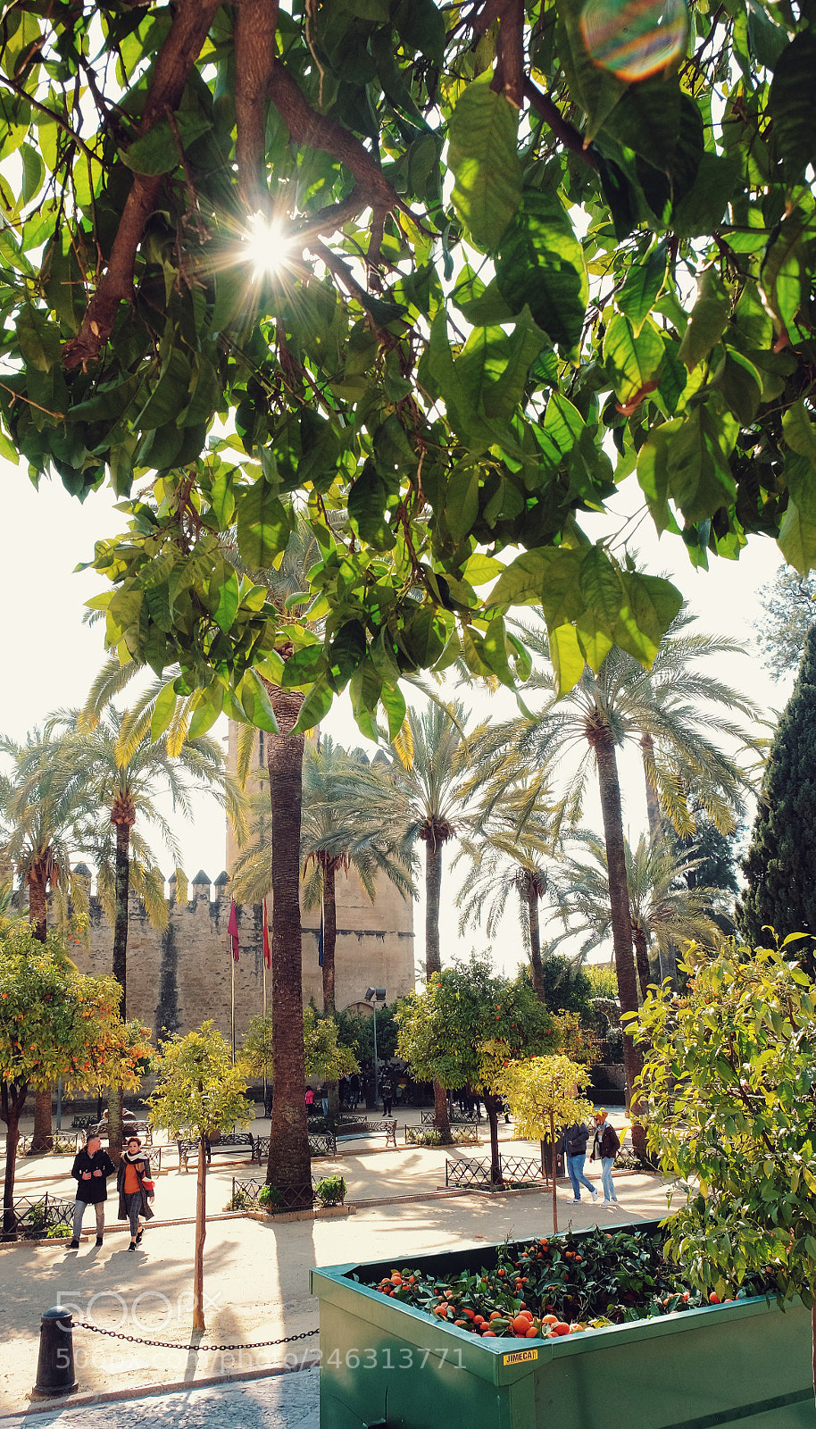 Fujifilm X-T1 sample photo. Morning in cordoba photography