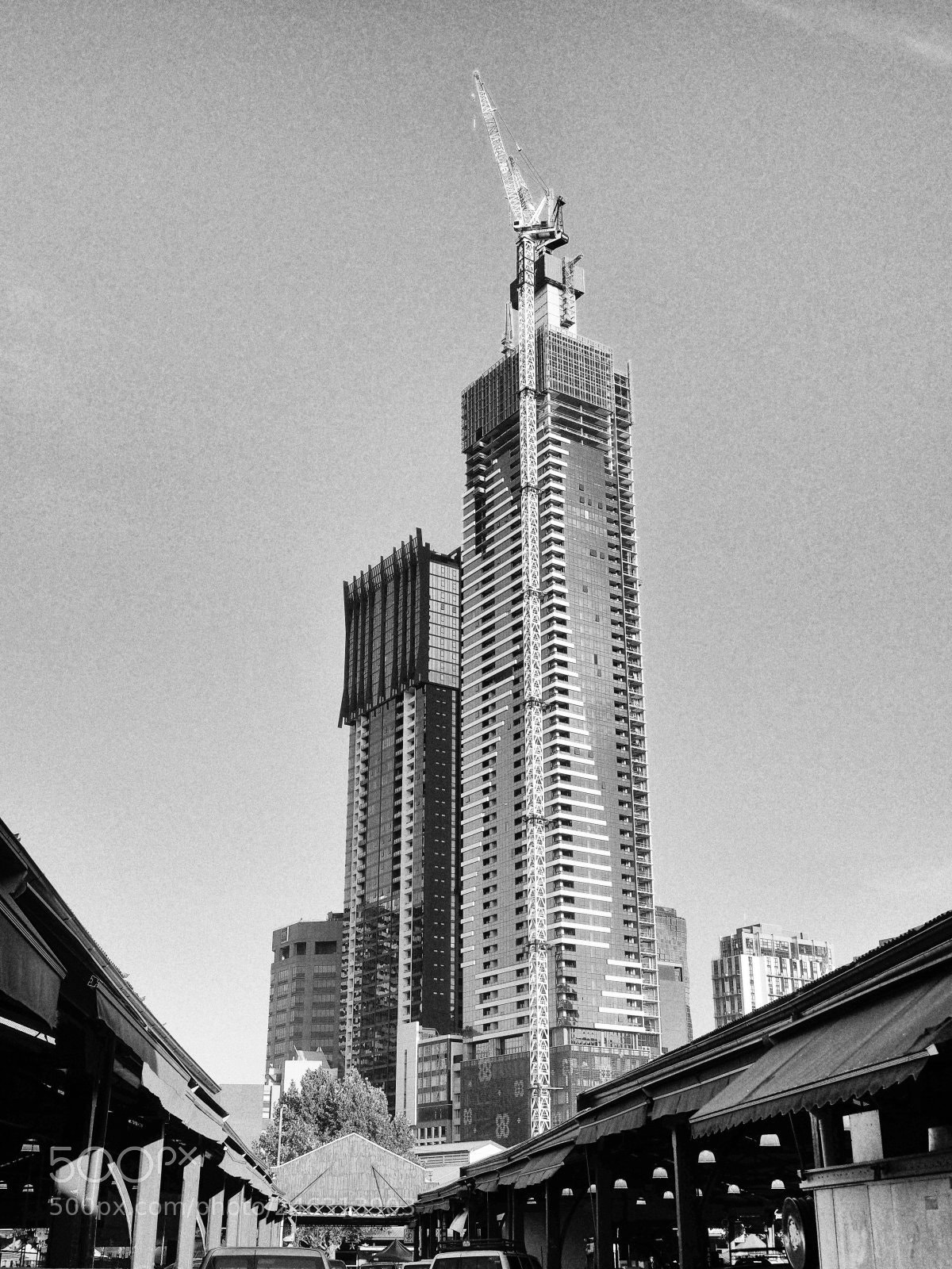 Olympus OM-D E-M1 sample photo. Melbourne, vic photography