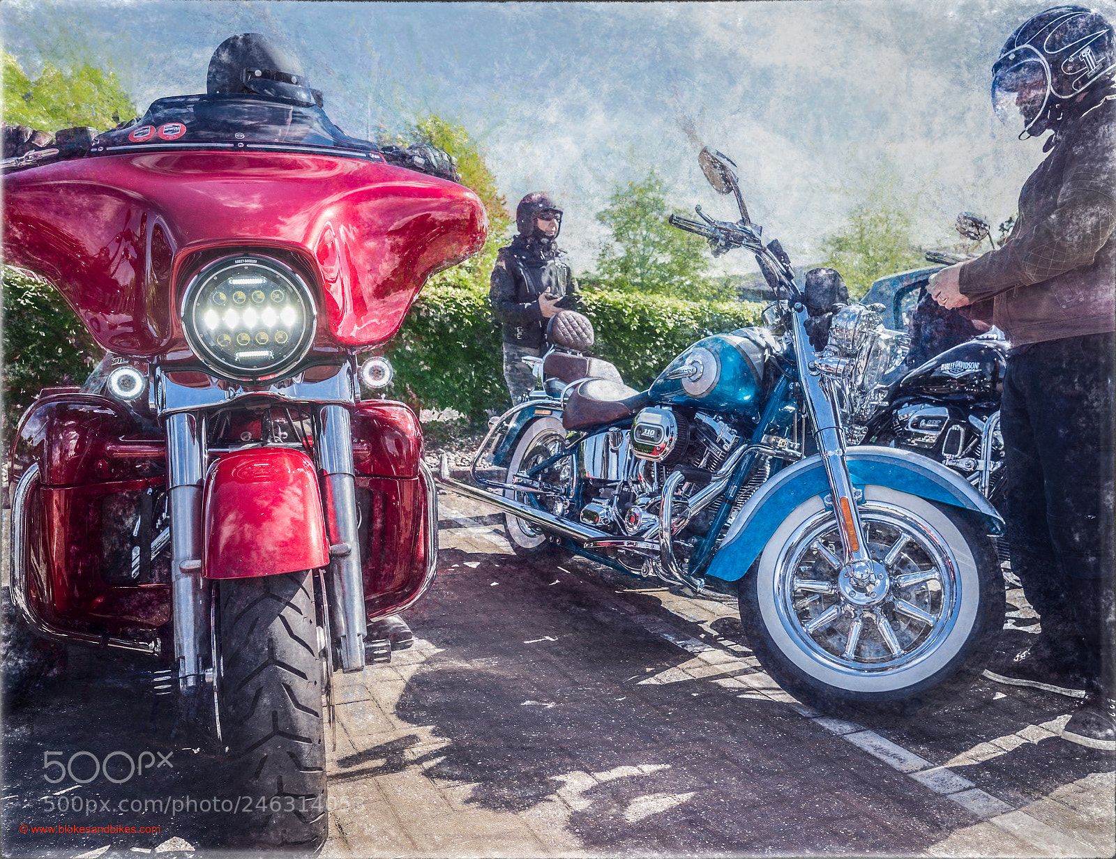 Olympus OM-D E-M1 Mark II sample photo. Harleys photography