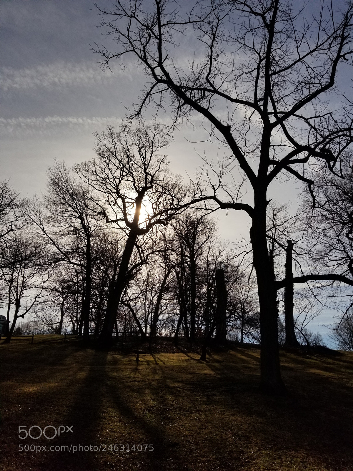 Samsung Galaxy S8 sample photo. Untitled photography