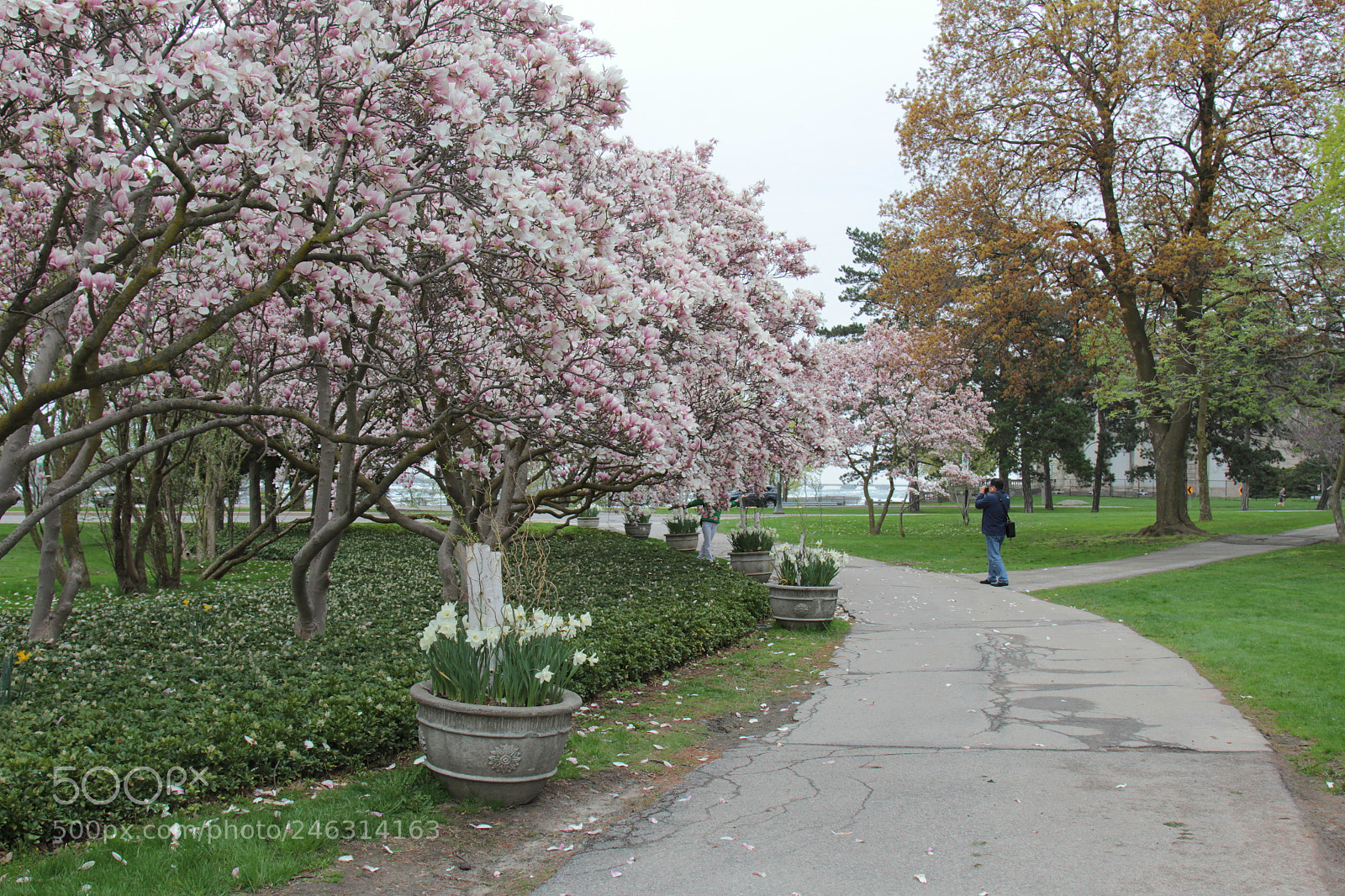 Canon EOS 60D + Canon EF 24-105mm F4L IS USM sample photo. Untitled photography