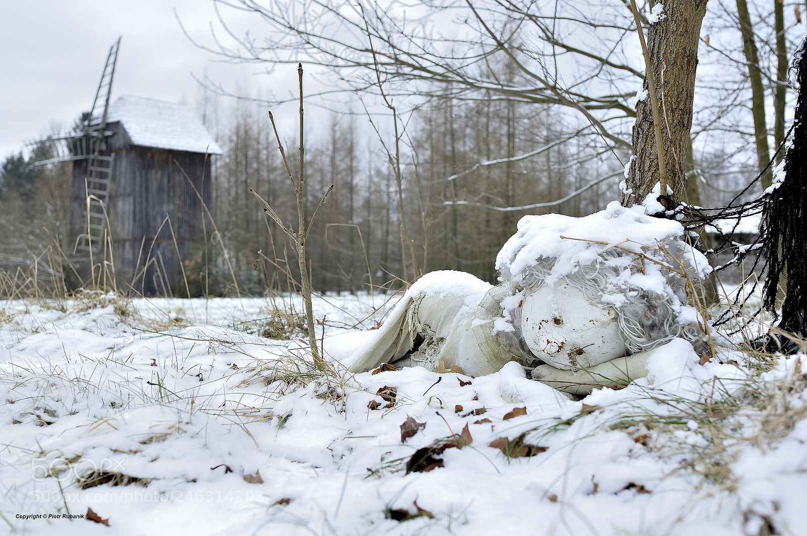Nikon D90 sample photo. Lady winter photography