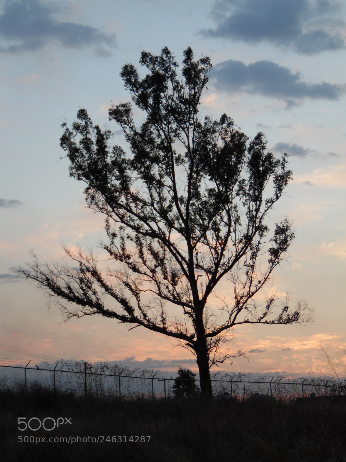 Samsung WB1100F/WB1101F/WB1102F sample photo. "llegada de la noche" photography